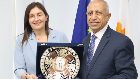 ΜΑΡΙΝΑ-ΧΑΤΖΗΜΑΝΩΛΗ-ΑΡΑΒΙΚΗ-ΑΚΑΔΗΜΙΑ