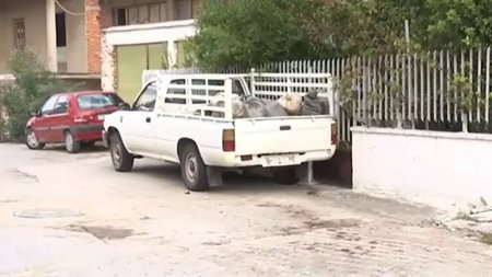 anilikos-roma-boiwtia