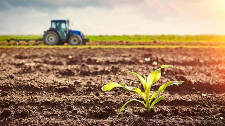 agriculture