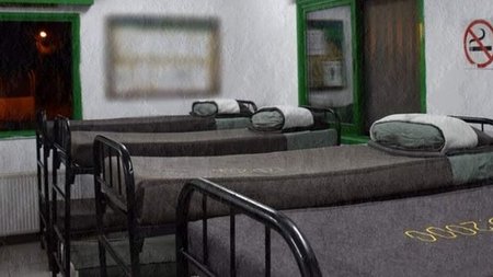 cats_S3KmqXK.width-750