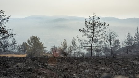 DOC.20250724.8797063.kamenigilemesos