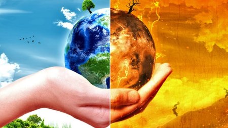 45555_252863_122276_type13262