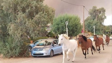 875_c2d33134-6b03-4c8c-abf9-0f0a6c7b4fef