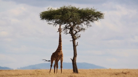 1_-_2024-07-05t172619.115