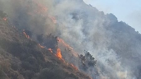 505703108_1229934512127048_7579998755043022578_n