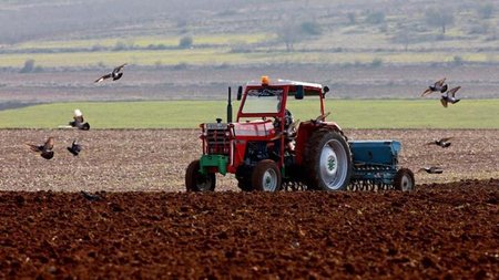 b_b_b_georgia_kypros_2