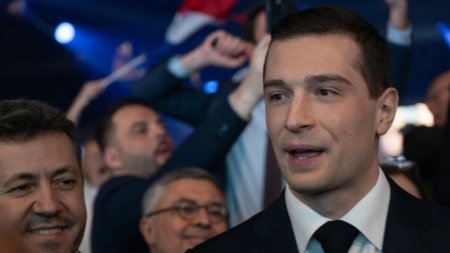 cats_qNP3Mbm.width-750.width-750.width-750