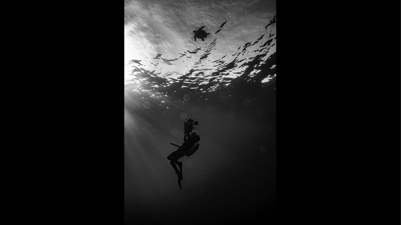 fc81a3e5-be7c-4f22-87fa-1d5692784b01.jpg