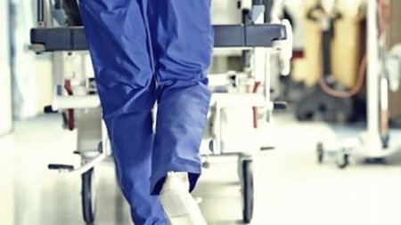 cats_tc1mdKU.width-750