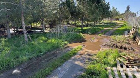 cache_500x500_6292341_1220295_25022024032021