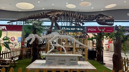 MixCollage-02-Jul-2025-09-49-AM-6262