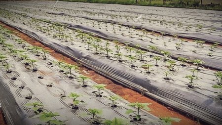 screenshot_2024-07-24_130511