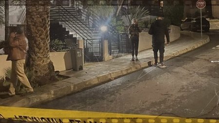 cats_TBGwsi5.width-750