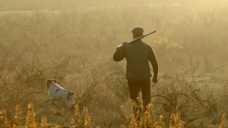 shutterstock_7699786.width-750