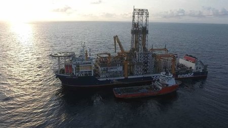 cats_M3VEjHB.width-750