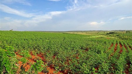 fea72adb-459f-49f0-93c1-8054d10db928