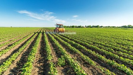 dc36b0e6-7f68-4008-99f9-1b2169bd0a92_agrotis-x.width-750