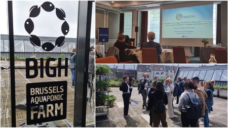 MixCollage-27-Jun-2024-02-49-PM-467