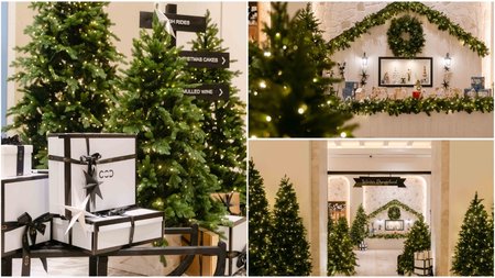 MixCollage-16-Dec-2024-11-24-AM-6681