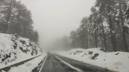 316374313_692436435854573_4125497096944985213_n