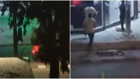 cats_qNP3Mbm.width-750.width-750.width-750.width-750