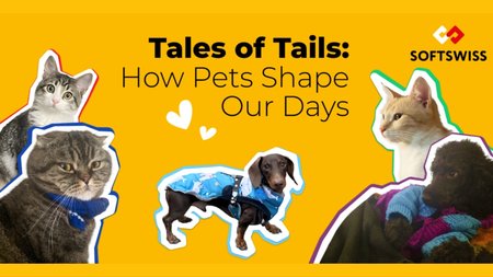 MixCollage-11-Apr-2025-01-03-PM-135