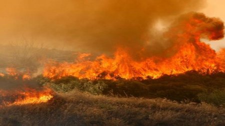 1092-35251.fotia-kellaki